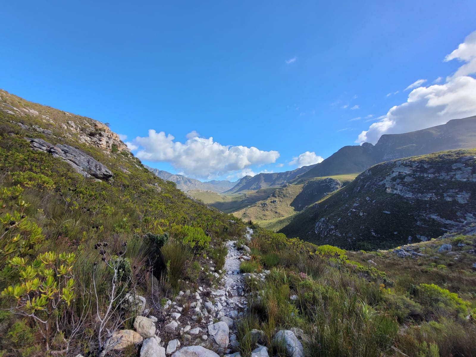 Mountain trail on the Kleinmond circular route